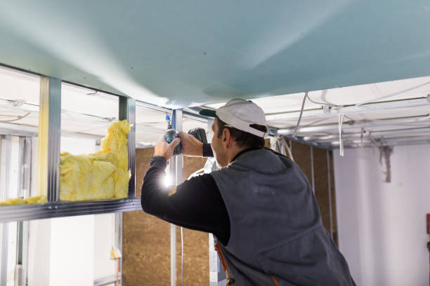 Best Insulation Maintenance and Repair in Oxford, MS